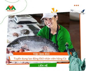 Tuyển dụng nhân viên hãng cá Eb3 tại Mỹ - Định cư Việt Mỹ